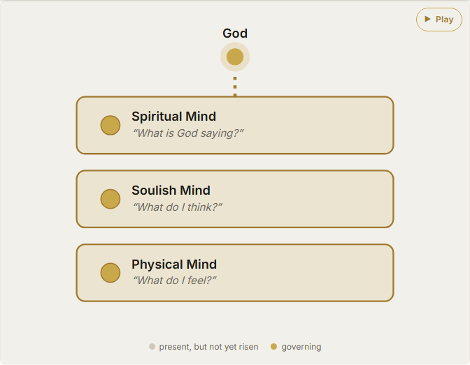 The Spiritual Mind: Rising Above Instinct and Emotion to Walk in Life and Peace